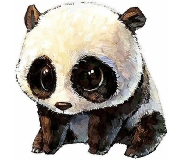 Няшные панды