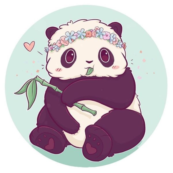 Наоми Лорд животные Панда