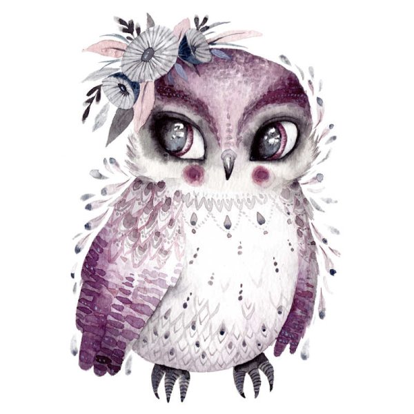 Совы мультяшные