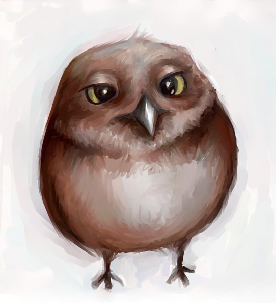 Инга Пальцер