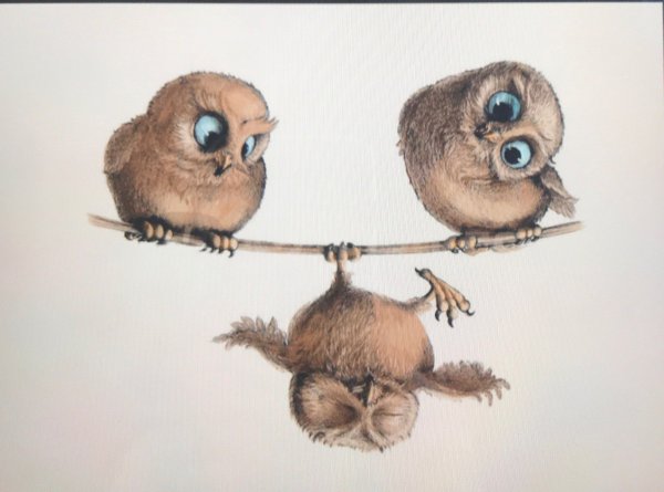 Милые Совушки