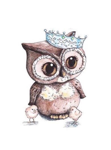 Совушки мультяшные