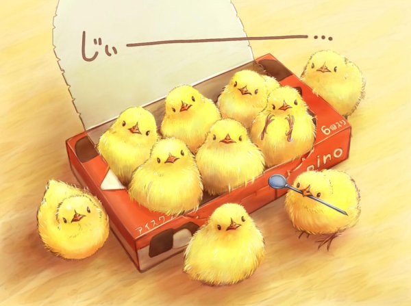 Цыплята в коробке