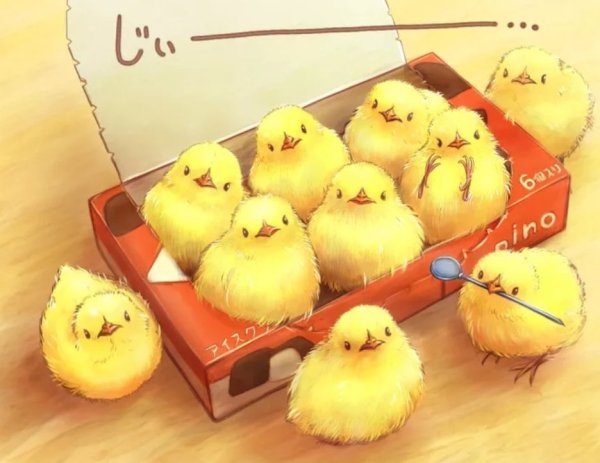 Эстетика цыплят