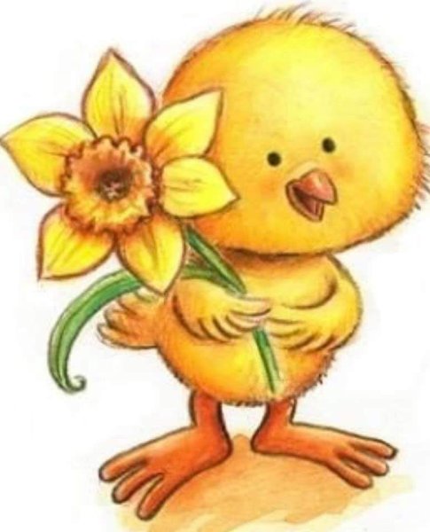 Милые цыплята рисунки