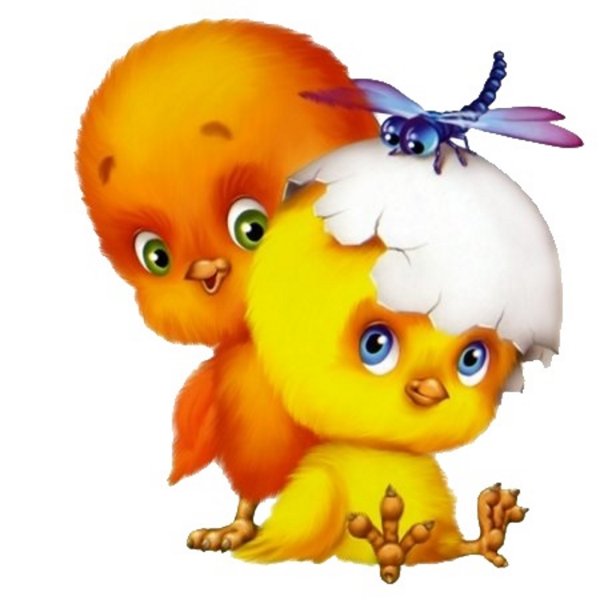 Цыплята мультяшки