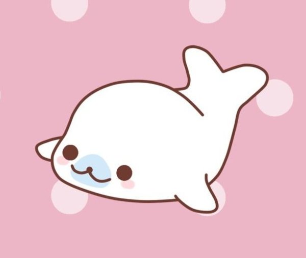 Кавайные морские котики