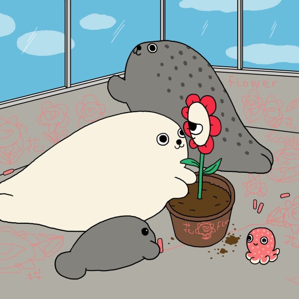 Тюлень мульт