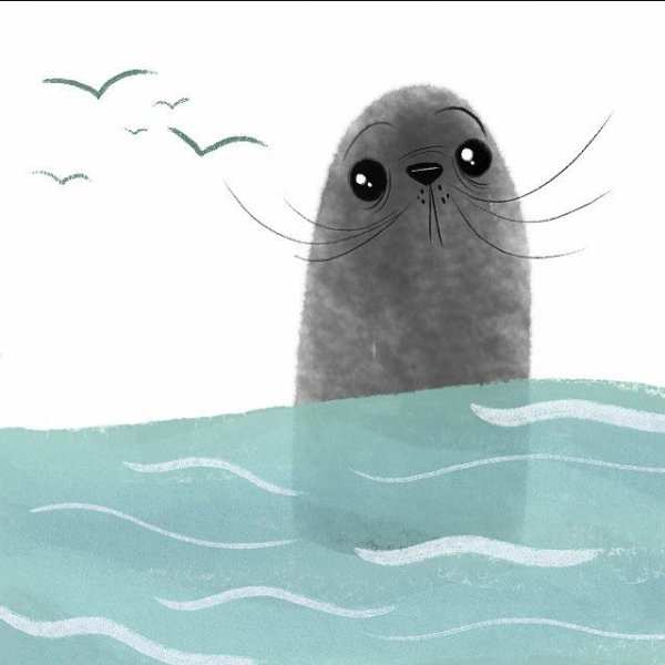 Сказочный тюлень