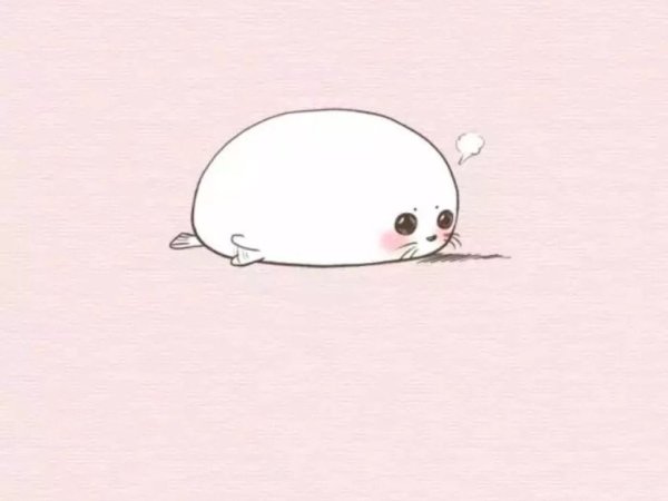 Милый тюлень рисунок