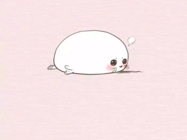 Милые морские котики для срисовки