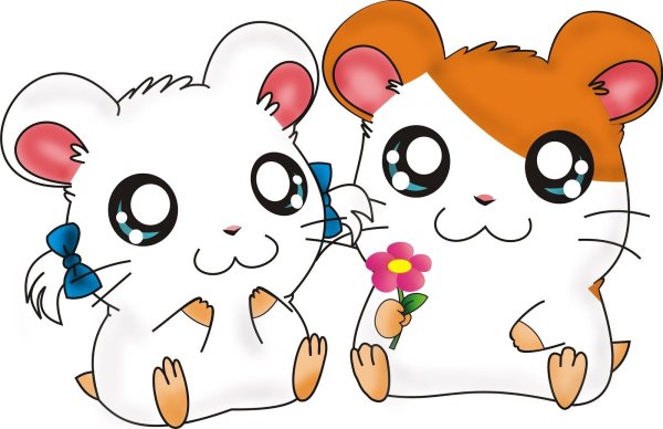 Hamtaro аниме