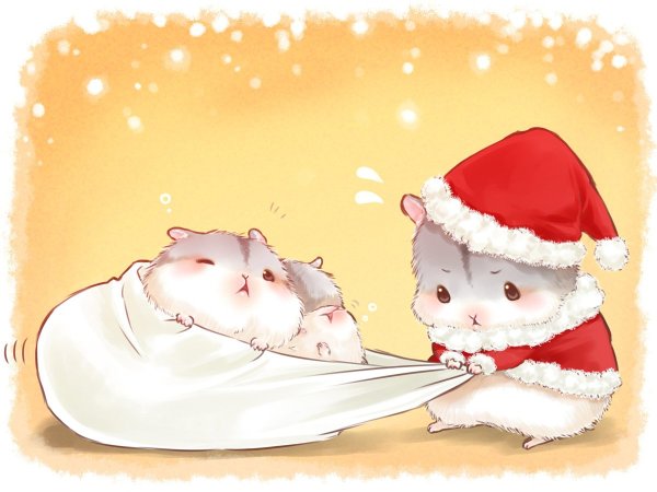 Хомяк в новогодней шапке