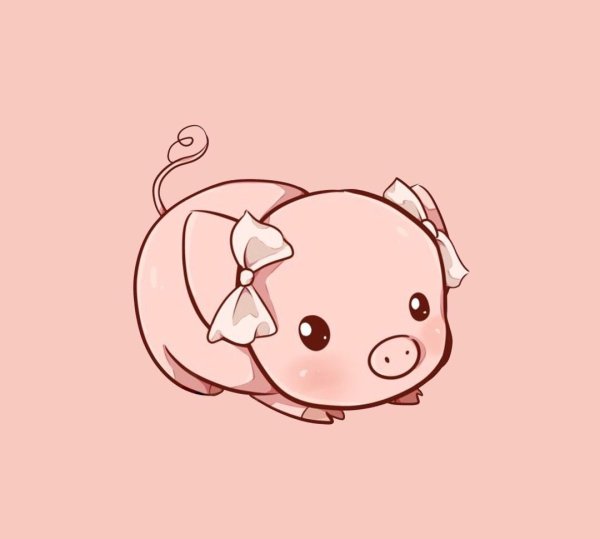 Кавайные свинки