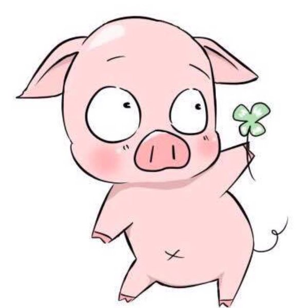 Милые мультяшные свинки