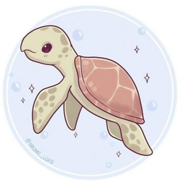 Черепаха для срисовки