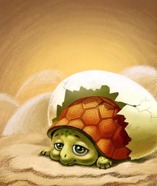 Черепаха рисунок
