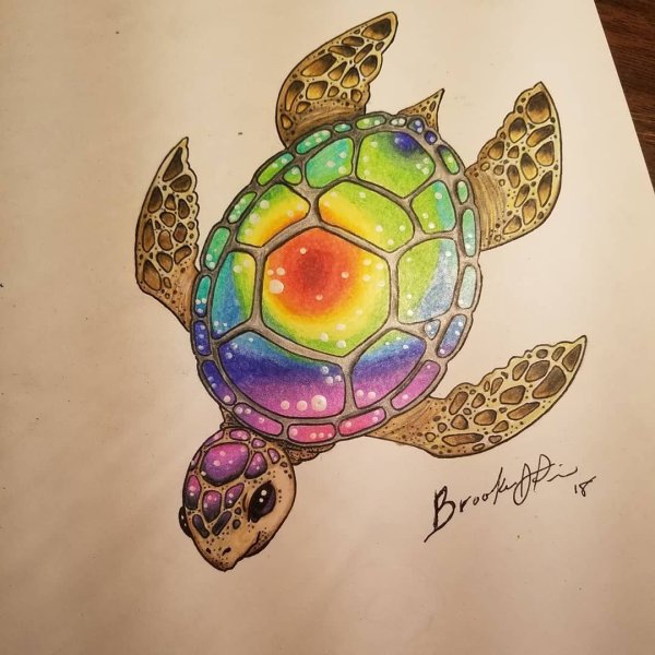 Черепаха эскиз