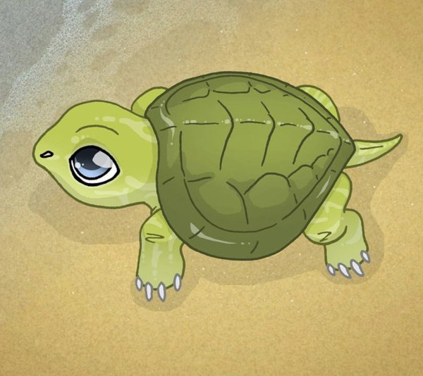 Черепашка для рисования