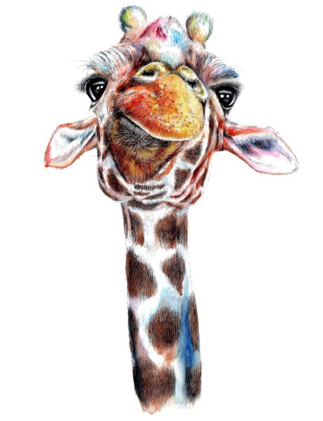 Милые рисунки