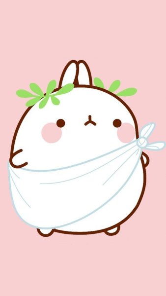 Японский кролик Моланг