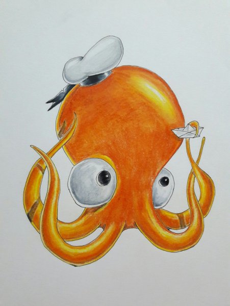 Осьминог рисунок