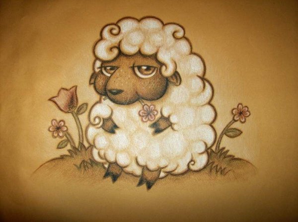 Милые овечки