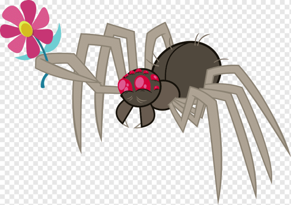 Милый паук мультяшный