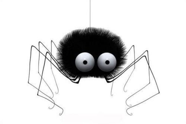 Смешной паучок