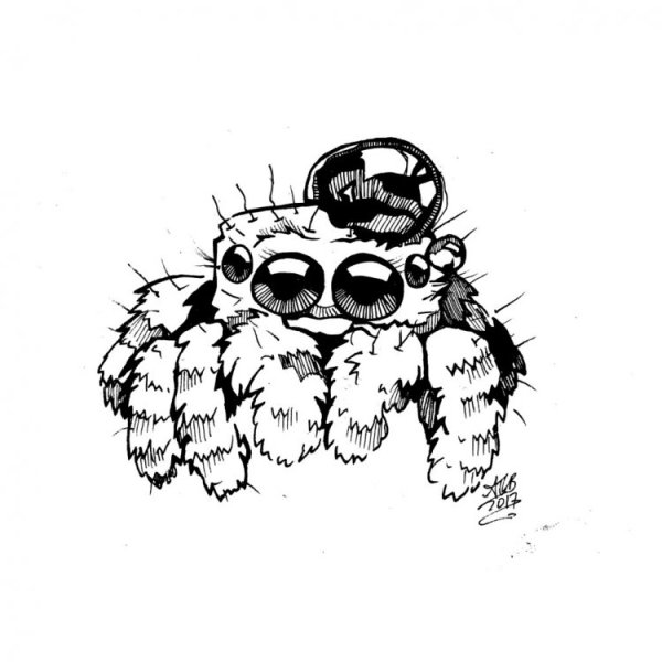 Милые пауки