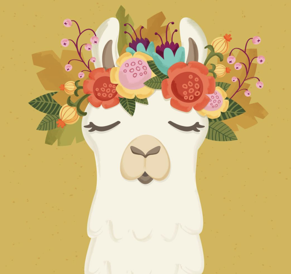 Иллюстрации милые альпаки