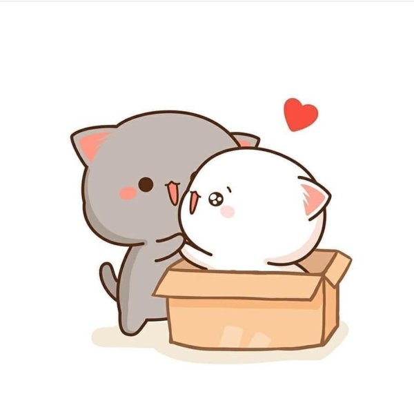 Кавайные котики любовь