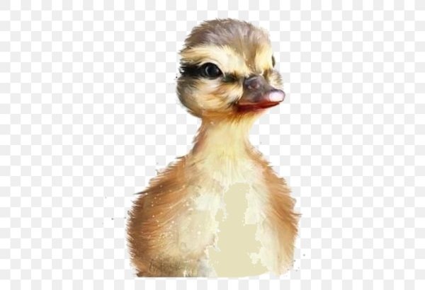 Милые утята арт