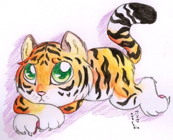 Рисунки для срисовки Тигренок