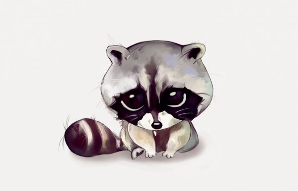Енот нарисованный