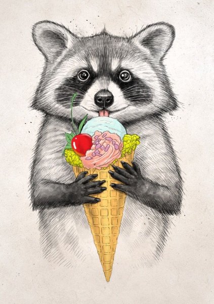 Енот мультяшный