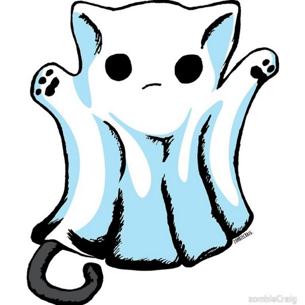 Котик призрак