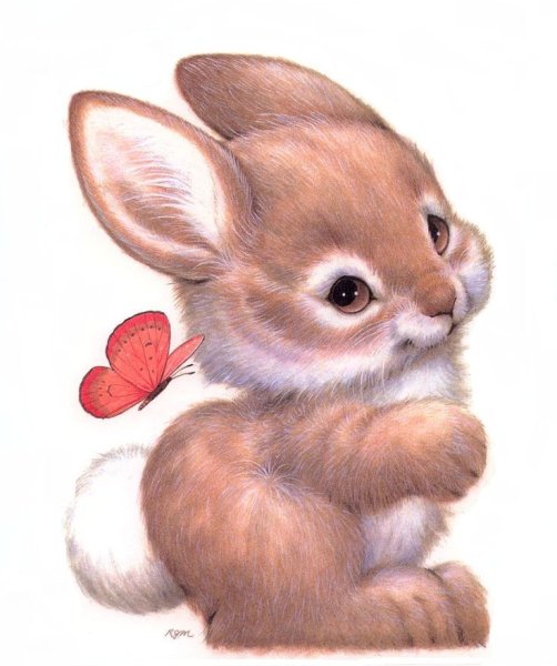 Милые зверушки иллюстрации