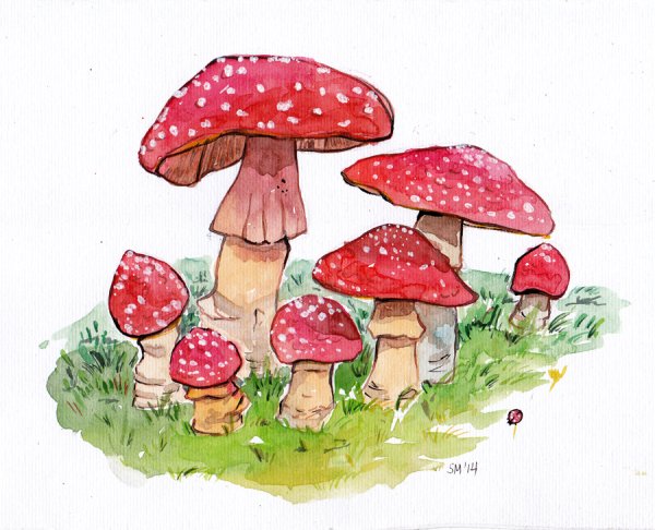 Милые грибочки