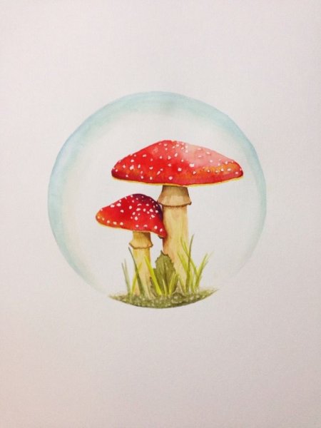 Шляпка и ножка у мухомора