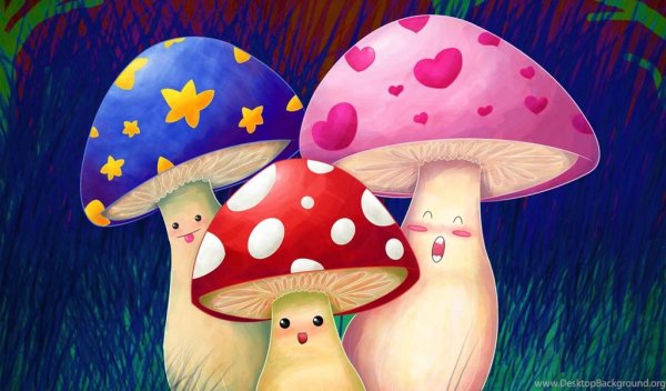 Мухомор инди КИД