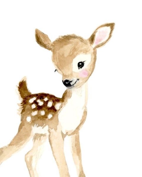 Олененок Акварельные иллюстрации