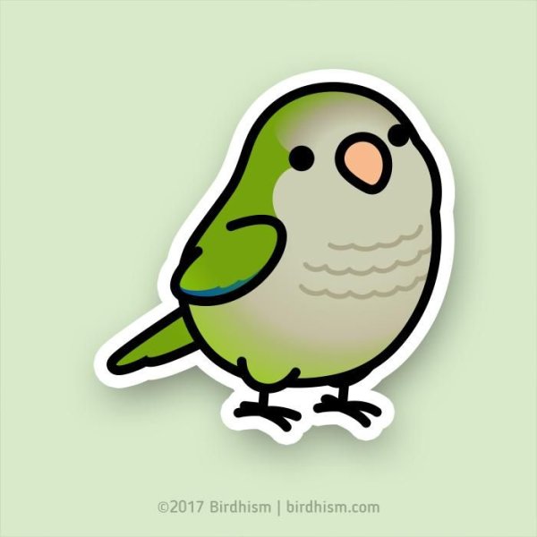 Милые птички рисунки