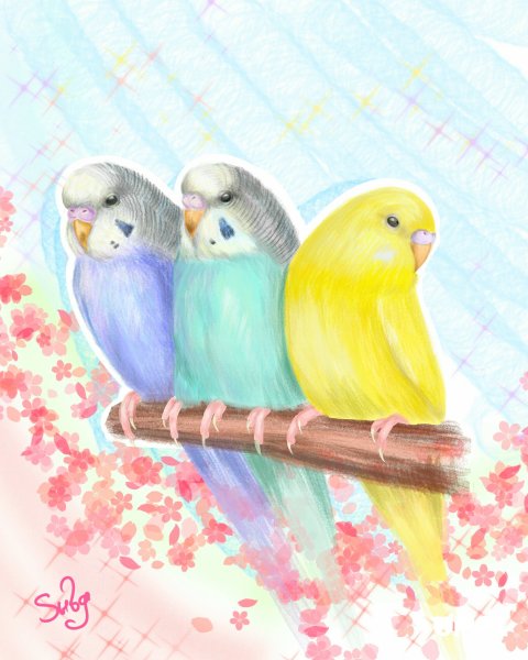 Милые попугайчики рисунки