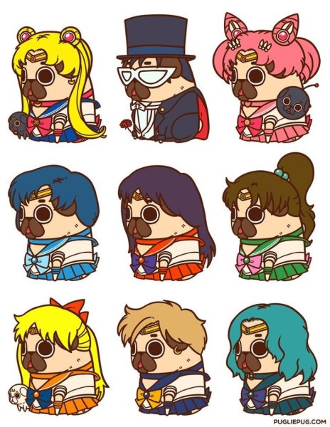 Кавайные мопсы