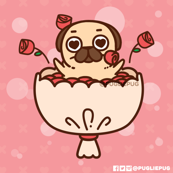 Puglie Мопс Стикеры