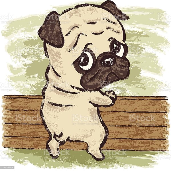 Мопсы для ЛД