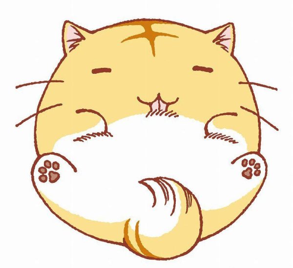 Аниме котик круглый