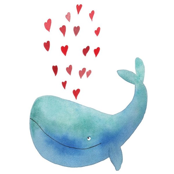 Милые иллюстрации китов