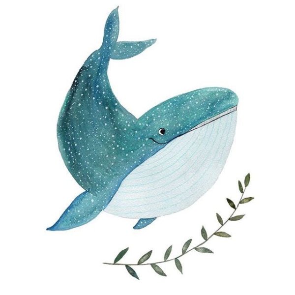 Кит картинка